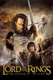 The Lord of the Rings: The Return of the King 2003