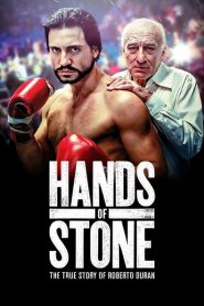Hands of Stone 2016
