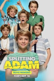 Splitting Adam 2016