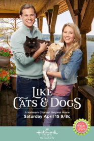 Like Cats & Dogs 2017