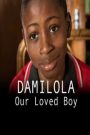 Damilola, Our Loved Boy 2017
