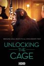 Unlocking the Cage 2016