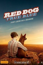 Red Dog: True Blue 2016