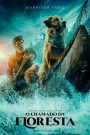 The Call of the Wild 2024