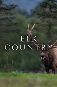 Elk Country 2025